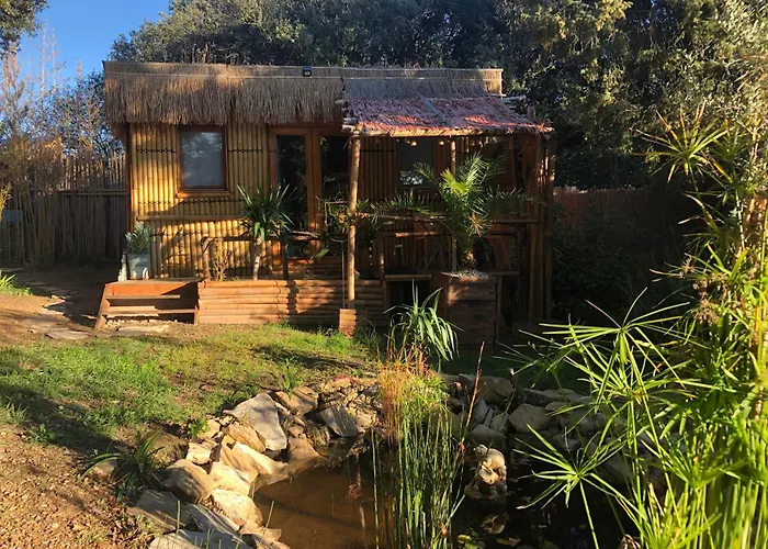 Cabane Bambou